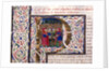 Initial P by Pliny The Elder
