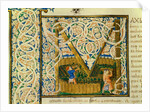 Initial M, from Pliny's Natural History. Italy, mid-15th century by Pliny the Elder