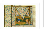 Initial M, from Pliny's Natural History. Italy, mid-15th century by Pliny the Elder
