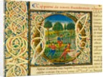 Initial O, from Pliny's Natural History. Italy, mid-15th century by Pliny the Elder