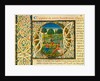 Initial O, from Pliny's Natural History. Italy, mid-15th century by Pliny the Elder