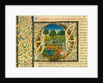 Initial O, from Pliny's Natural History. Italy, mid-15th century by Pliny the Elder
