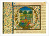 Initial O, from Pliny's Natural History. Italy, mid-15th century by Pliny the Elder