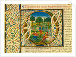 Initial O, from Pliny's Natural History. Italy, mid-15th century by Pliny the Elder