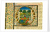 Initial O, from Pliny's Natural History. Italy, mid-15th century by Pliny the Elder