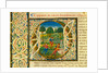 Initial O, from Pliny's Natural History. Italy, mid-15th century by Pliny the Elder