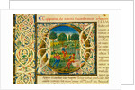 Initial O, from Pliny's Natural History. Italy, mid-15th century by Pliny the Elder
