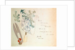 Objects symbolising the Seventh Day of the Year by Suimono Shinsai