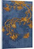 Lady's Robe, detail. China, late 18th century by Unknown