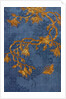 Lady's Robe, detail. China, late 18th century by Unknown