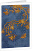 Lady's Robe, detail. China, late 18th century by Unknown