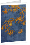 Lady's Robe, detail. China, late 18th century by Unknown