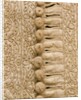 Man's doublet by Unknown