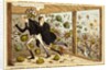 Glorious return of the Pride of Westminster and his flunkey. England, 1882 by Unknown