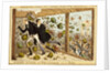 Glorious return of the Pride of Westminster and his flunkey. England, 1882 by Unknown