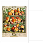 August, from The twelve months of fruits by Robert Furber