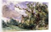 A cottage by a wood at Findon by John Constable