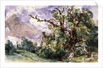 A cottage by a wood at Findon by John Constable