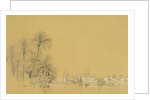 General View of Baghdad, in Egypt by Eugène N. Flandin