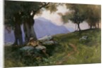 Hillside of Lake Garda by George Petrie