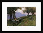 Hillside of Lake Garda by George Petrie