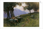 Hillside of Lake Garda by George Petrie