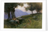 Hillside of Lake Garda by George Petrie