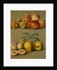 Apples by Plums & Peaches