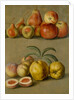 Apples by Plums & Peaches