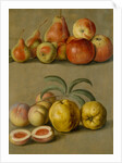 Apples by Plums & Peaches