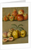 Apples by Plums & Peaches