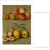 Apples by Plums & Peaches