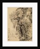 Study of Ash Trees by John Constable