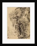Study of Ash Trees by John Constable