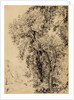Study of Ash Trees by John Constable