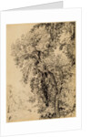 Study of Ash Trees by John Constable