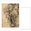 Study of Ash Trees by John Constable