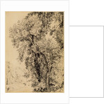 Study of Ash Trees by John Constable