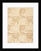 Apple wallpaper by William Morris
