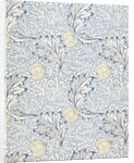 Apple wallpaper by William Morris