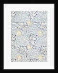 Apple wallpaper by William Morris