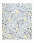 Apple wallpaper by William Morris