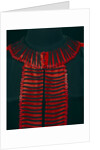 Black and scarlet overdress, detail. Germany, 1920 by Unknown