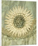 Coat, detail by Francis & Co Ltd.