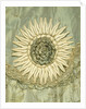 Coat, detail by Francis & Co Ltd.