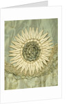 Coat, detail by Francis & Co Ltd.