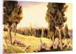 Burying Ground. Constantinople, mid-20th century by Unknown