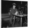 Elvis Presley by Harry Hammond