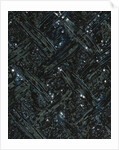 Jacket, detail by Marc Bohan