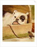Bulldog and robin by Cecil Aldin